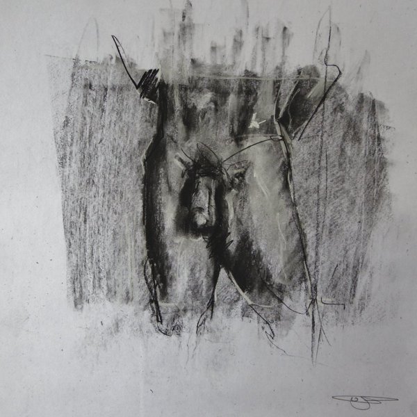 1911887_735279316517519_704178902_n