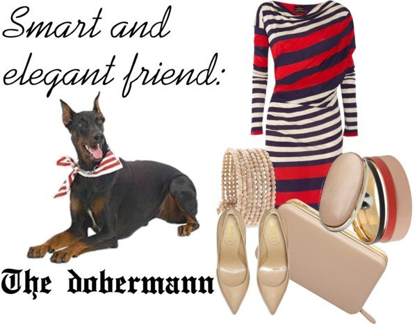 Dobermann Dobermann