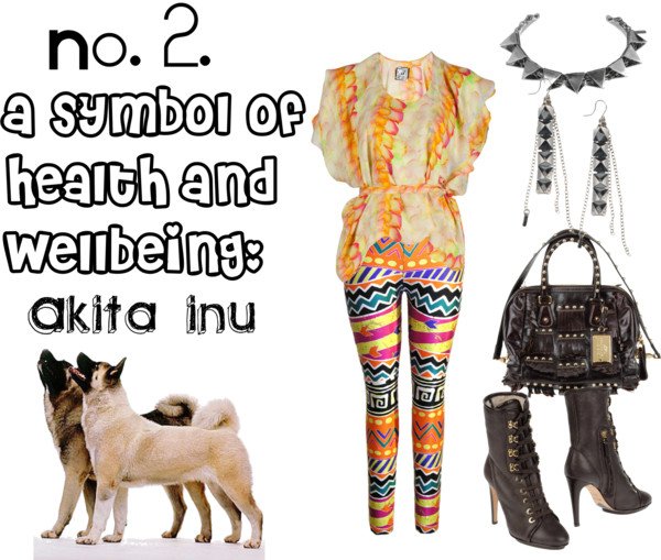 Akita inu Akita inu