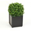 PLANT home decor