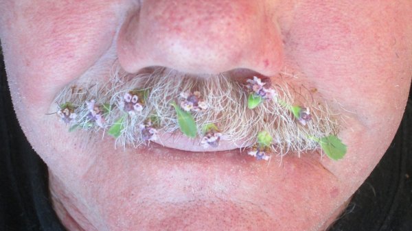 tumblr_mxc56feTpl1qar7dpo2_1280