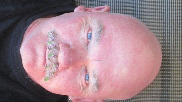 tumblr_mxc56feTpl1qar7dpo3_1280