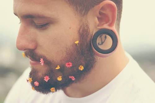 tumblr_n80l01oRnA1r2cz2jo1_500